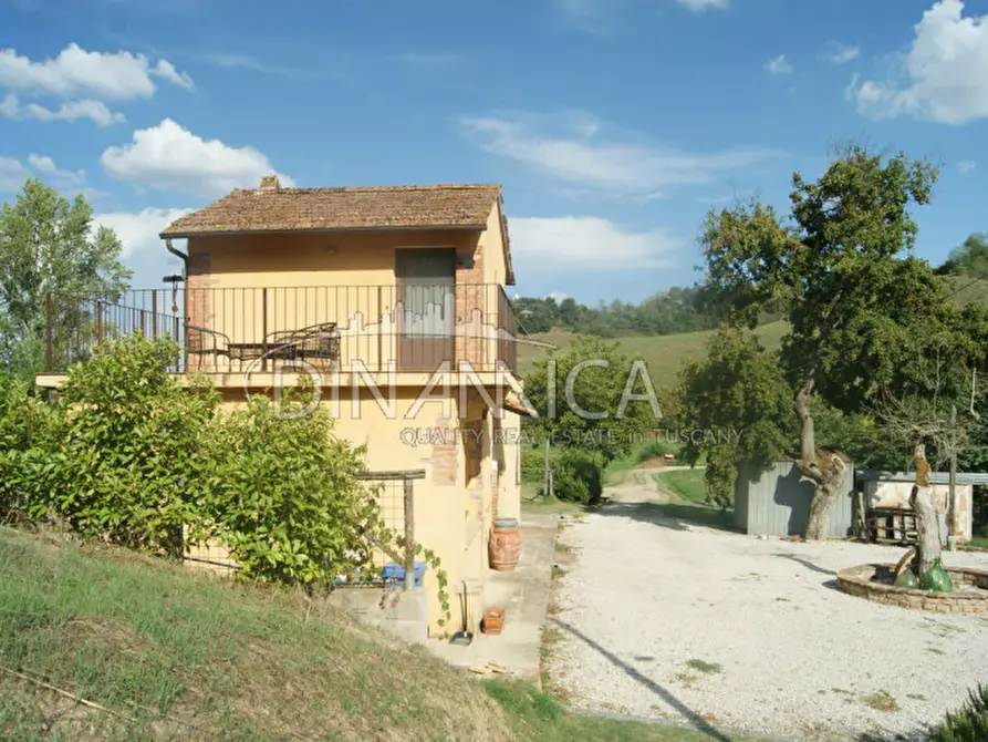 Immagine 39 di Agriturismo in vendita  a Castelfiorentino