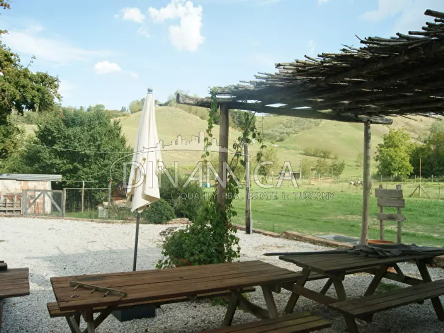 Immagine 42 di Agriturismo in vendita  a Castelfiorentino