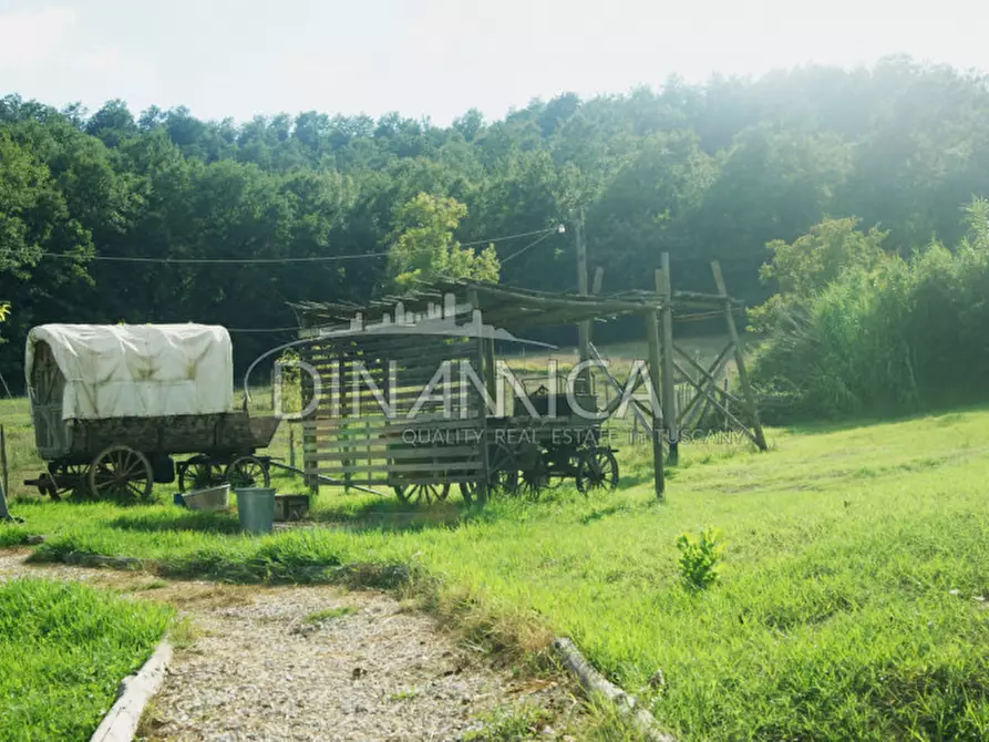 Immagine 53 di Agriturismo in vendita  a Castelfiorentino