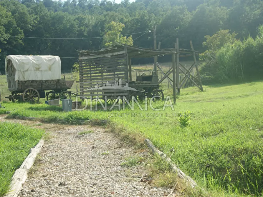 Immagine 54 di Agriturismo in vendita  a Castelfiorentino