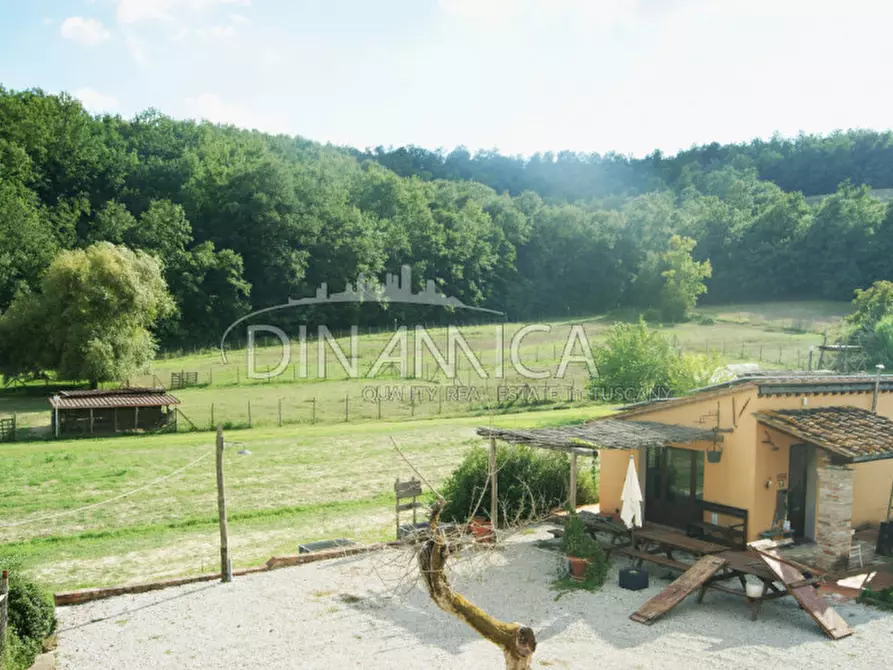Immagine 71 di Agriturismo in vendita  a Castelfiorentino