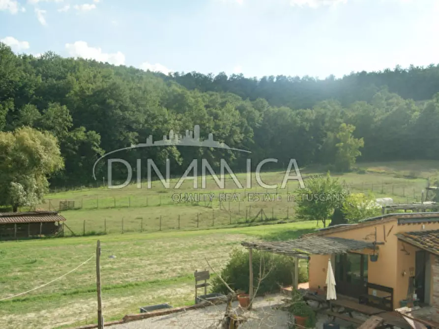 Immagine 73 di Agriturismo in vendita  a Castelfiorentino