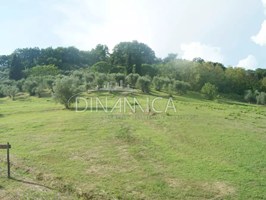 Immagine 74 di Agriturismo in vendita  a Castelfiorentino