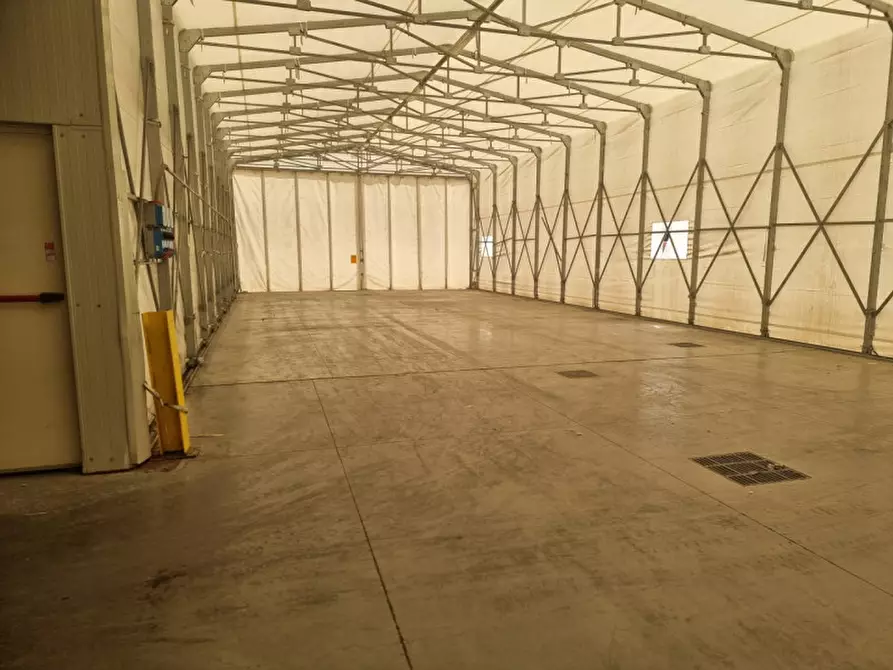 Immagine 8 di Capannone industriale in vendita  in via roma a Pontelongo