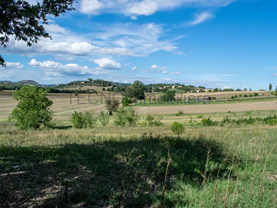 Immagine 8 di Rustico / casale in vendita  a Perugia