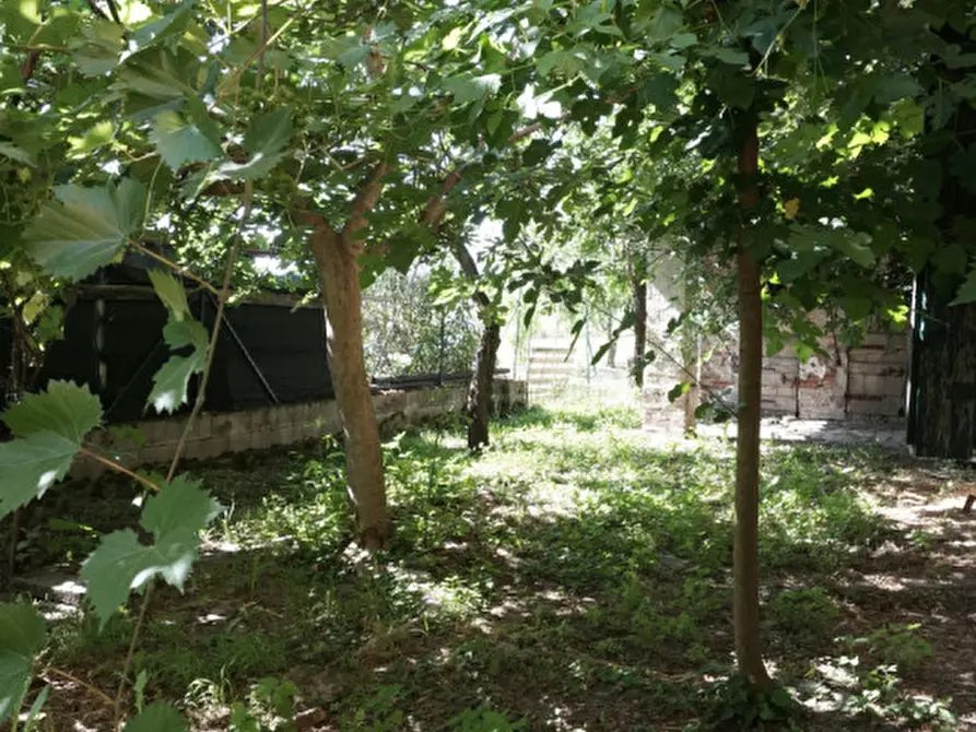 Immagine 26 di Villetta a schiera in vendita  in Via Vittorina Nenni, 24 a Torrile