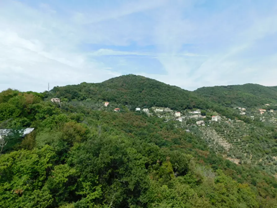 Immagine 3 di Appartamento in vendita  in Via Bana a Camogli