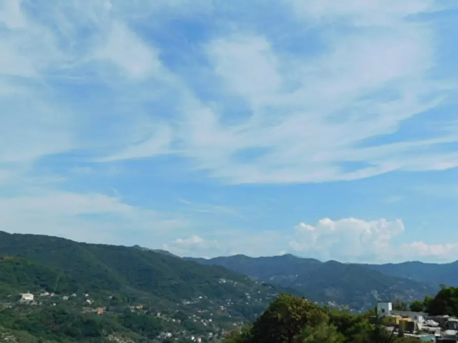 Immagine 7 di Appartamento in vendita  in Via Bana a Camogli