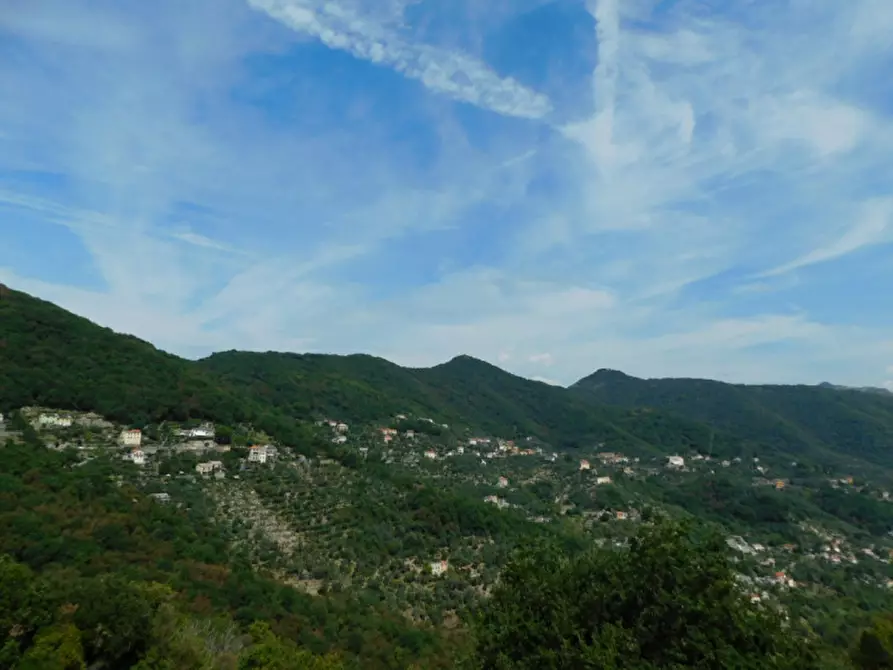 Immagine 9 di Appartamento in vendita  in Via Bana a Camogli