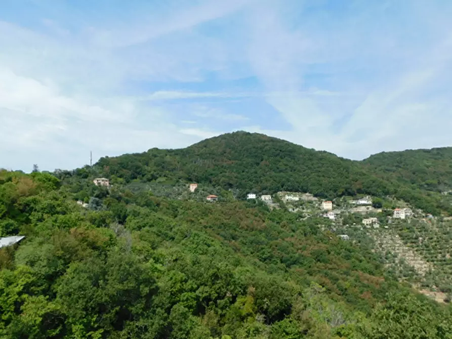 Immagine 4 di Ufficio in vendita  in Via Bana a Camogli