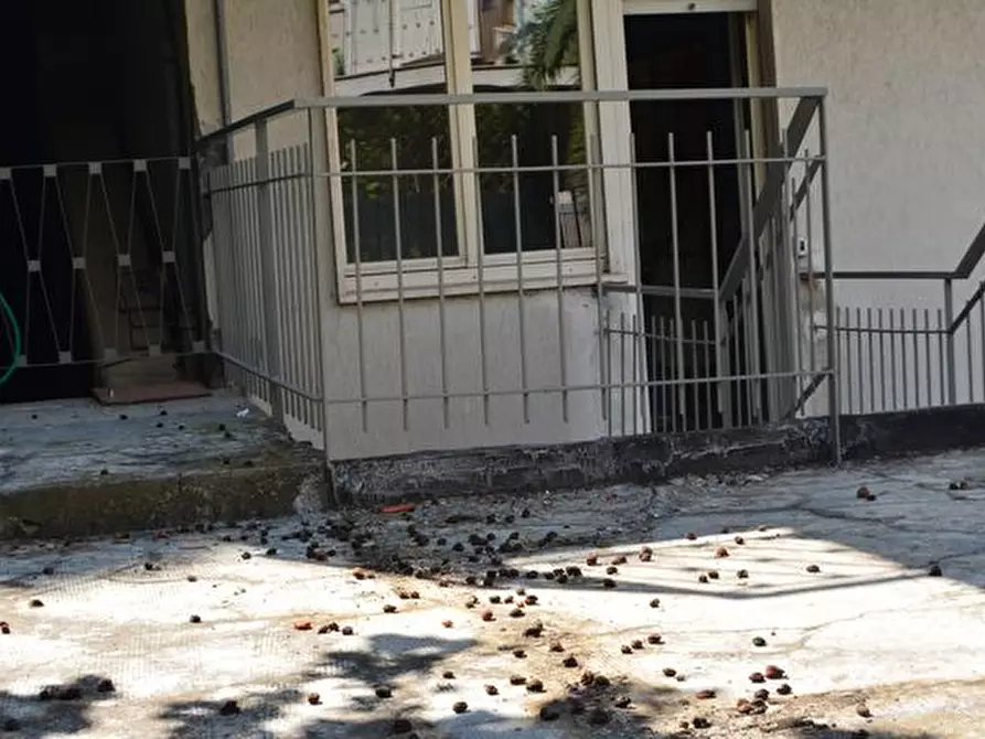 Immagine 12 di Appartamento in vendita  in Via Dante Alighieri a San Remo