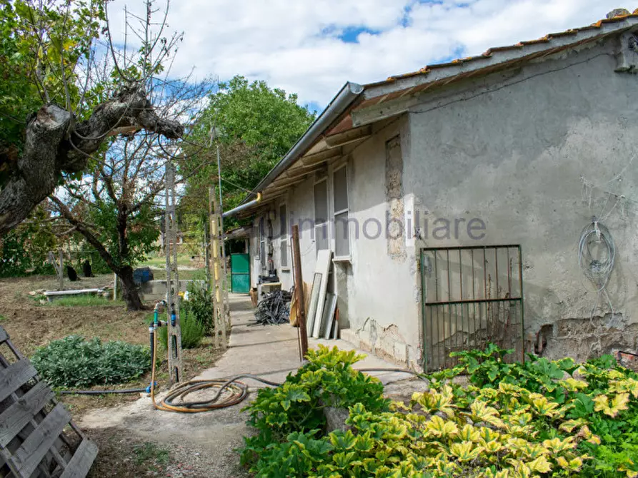 Immagine 4 di Rustico / casale in vendita  in castiglione della valle a Marsciano