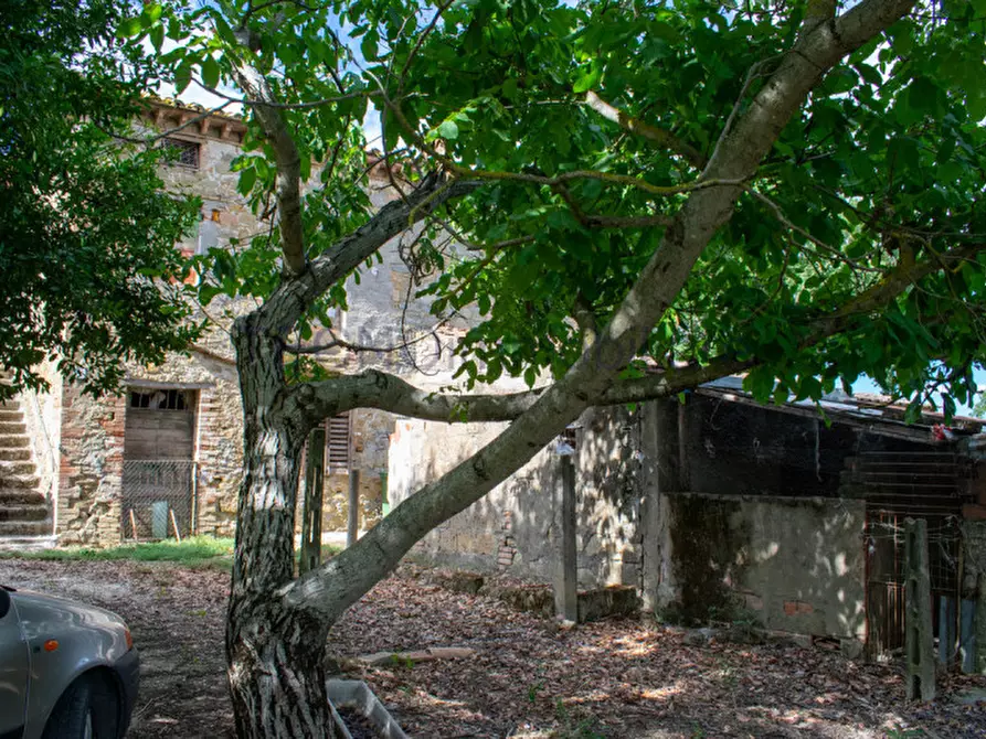 Immagine 6 di Rustico / casale in vendita  in castiglione della valle a Marsciano
