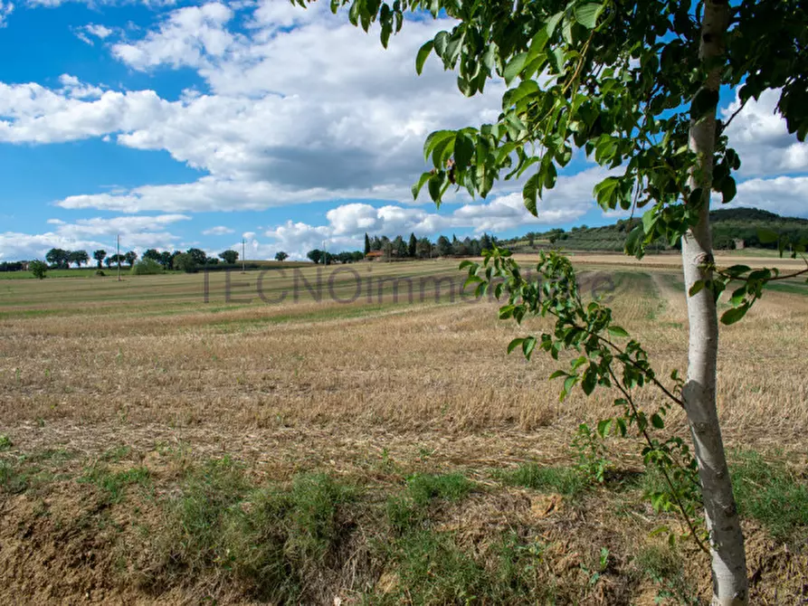 Immagine 11 di Rustico / casale in vendita  in castiglione della valle a Marsciano