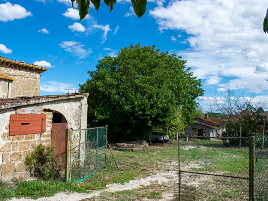 Immagine 12 di Rustico / casale in vendita  in castiglione della valle a Marsciano