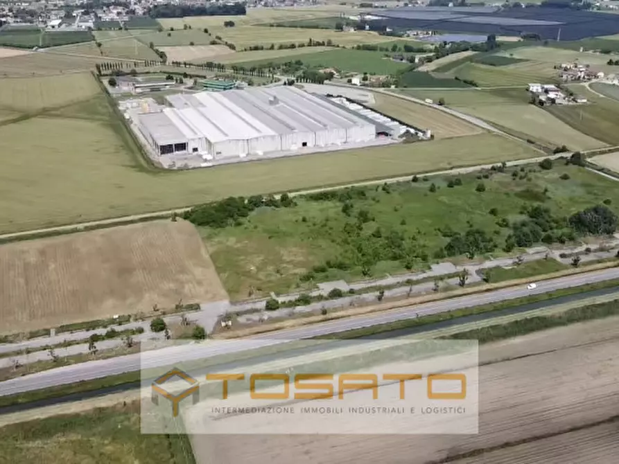 Immagine 2 di Terreno in vendita  a Bovolone