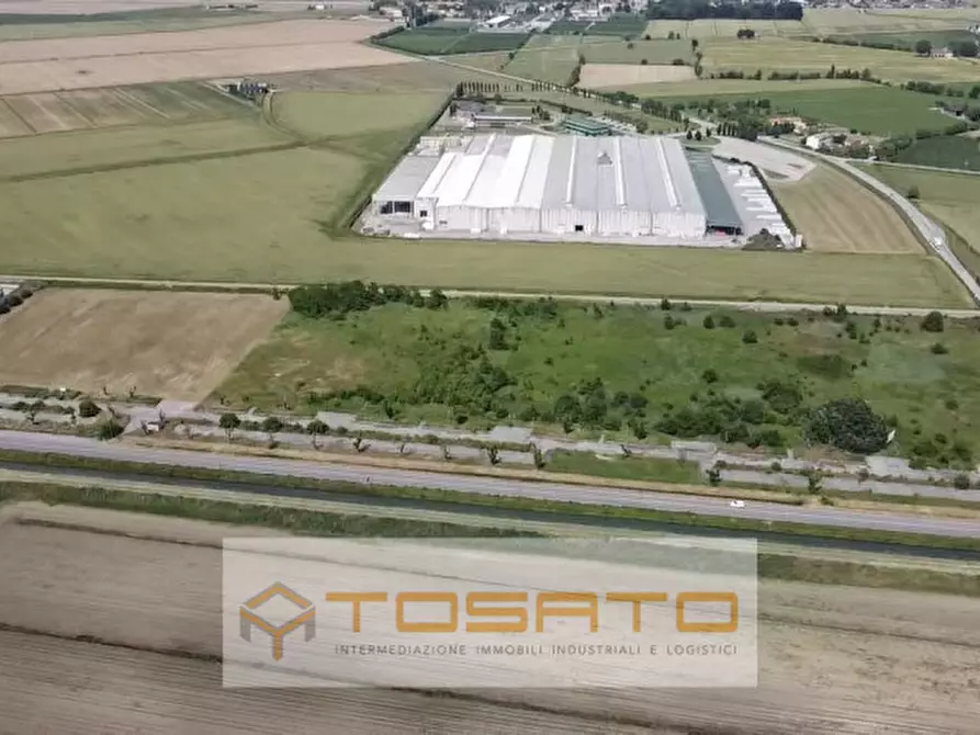 Immagine 3 di Terreno in vendita  a Bovolone