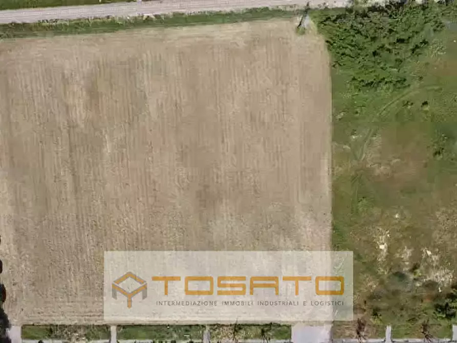 Immagine 3 di Terreno in vendita  a Bovolone