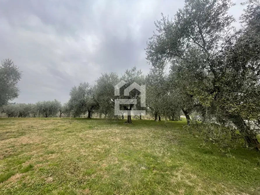 Immagine 3 di Terreno in vendita  in Via Chiusure a San Felice Del Benaco