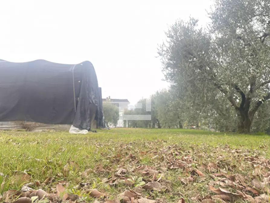 Immagine 4 di Terreno in vendita  in Via Chiusure a San Felice Del Benaco