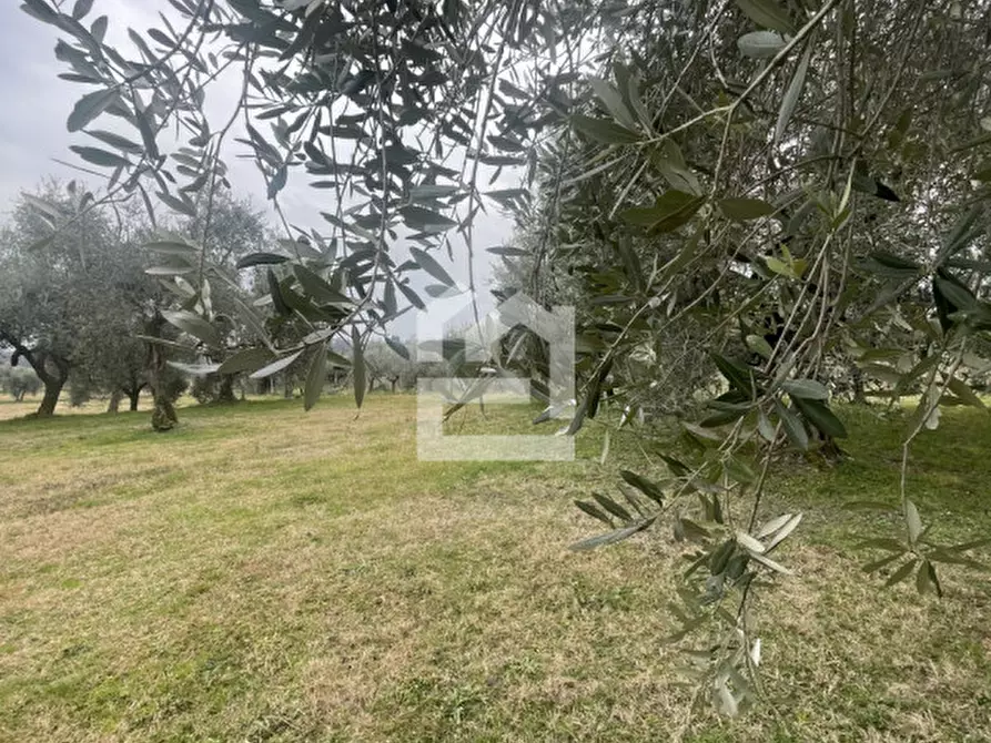 Immagine 5 di Terreno in vendita  in Via Chiusure a San Felice Del Benaco