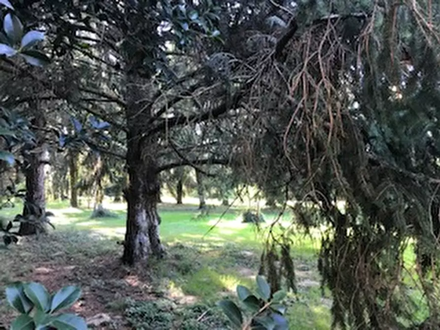 Immagine 29 di Villa in vendita  a Montegalda