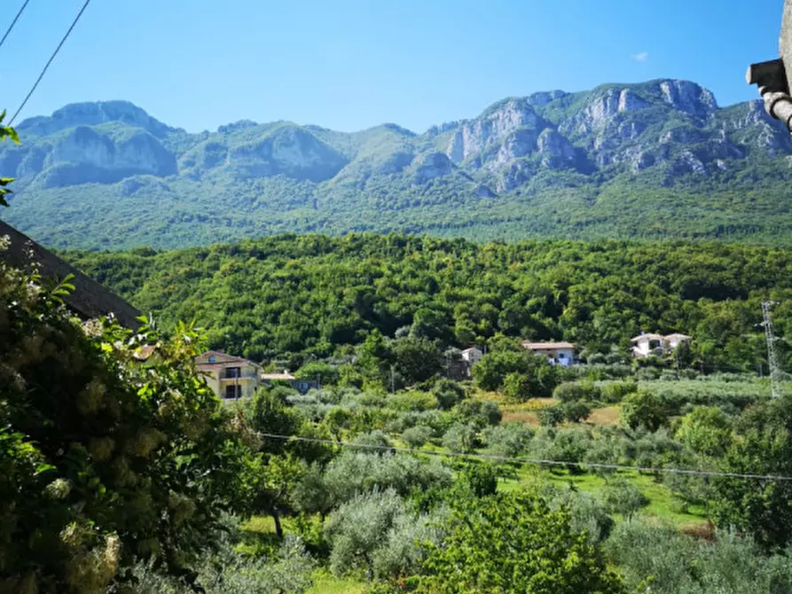 Immagine 7 di Appartamento in vendita  in Sicignano(Sa) Piazza S.Giovanni a Sicignano Degli Alburni