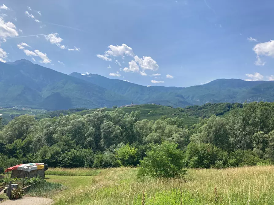 Immagine 2 di Terreno in vendita  a Ton