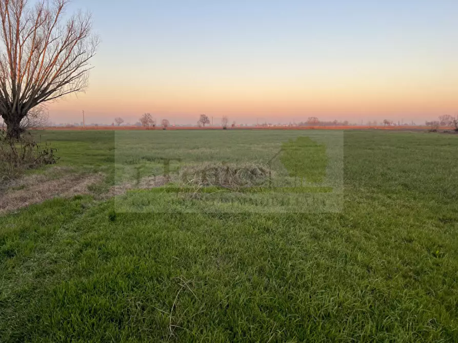 Immagine 7 di Rustico / casale in vendita  in redondesco a Redondesco