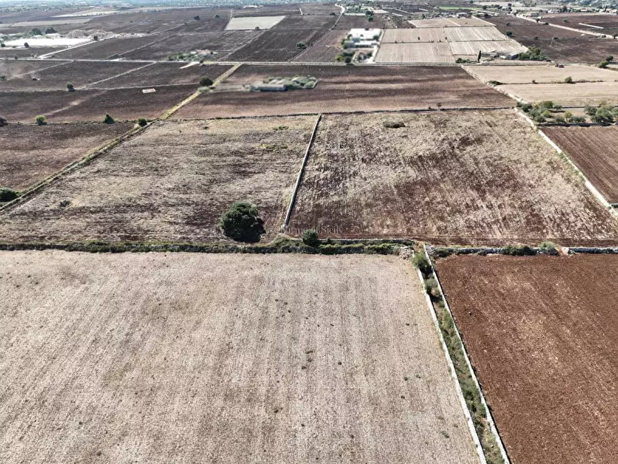 Immagine 9 di Rustico / casale in vendita  in contrada finocchiara a Rosolini