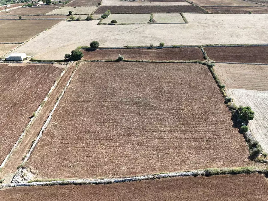 Immagine 12 di Rustico / casale in vendita  in contrada finocchiara a Rosolini