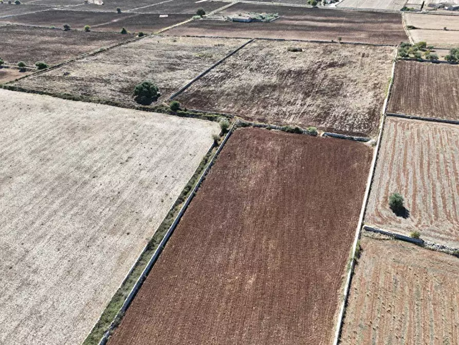Immagine 14 di Rustico / casale in vendita  in contrada finocchiara a Rosolini