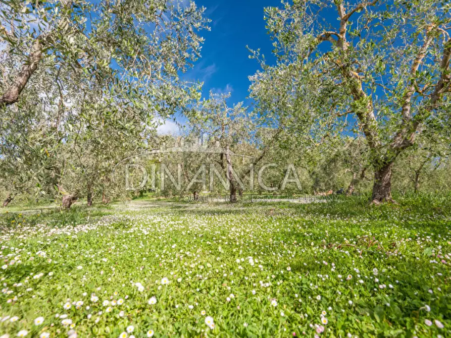 Immagine 14 di Villa in vendita  a San Miniato