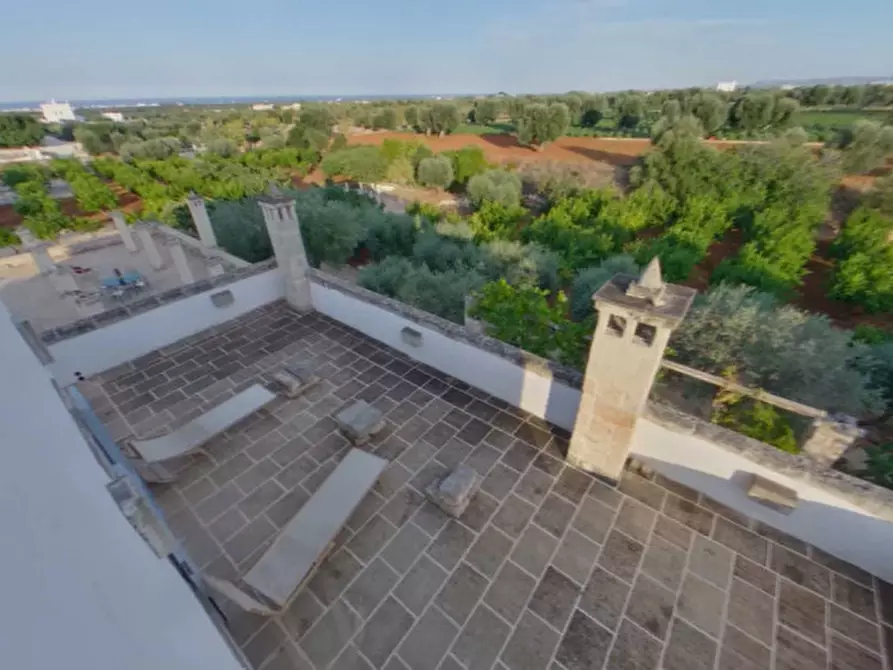 Immagine 73 di Rustico / casale in vendita  in Masciola a Fasano