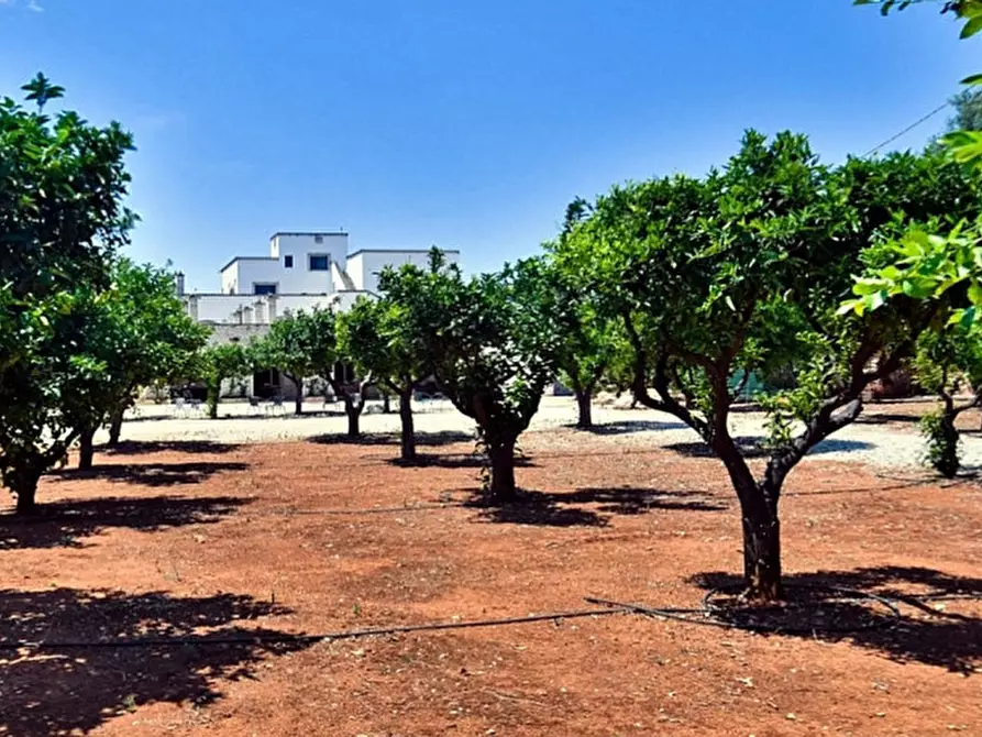 Immagine 126 di Rustico / casale in vendita  in Masciola a Fasano