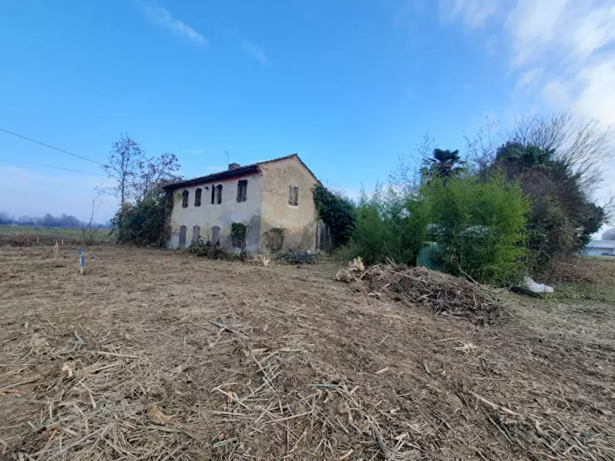 Immagine 1 di Rustico / casale in vendita  in VIA MOGLIANESE a Scorzè
