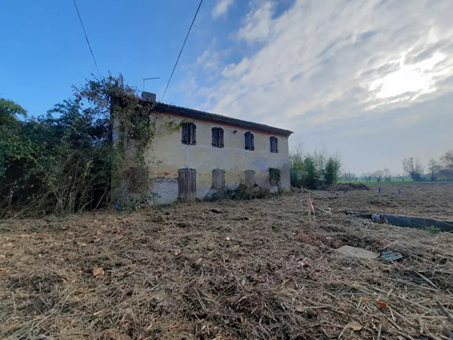 Immagine 3 di Rustico / casale in vendita  in VIA MOGLIANESE a Scorzè