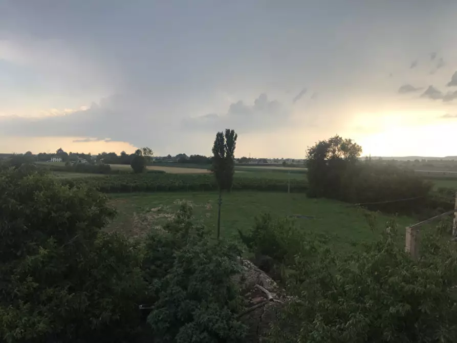 Immagine 10 di Appartamento in affitto  a Vo