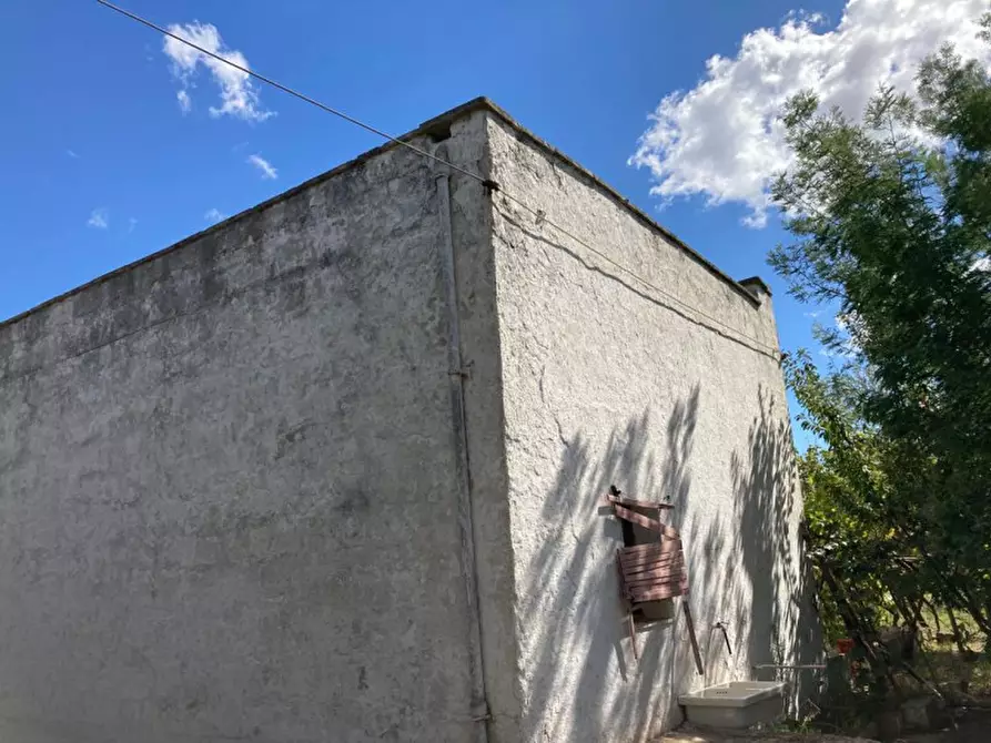 Immagine 10 di Rustico / casale in vendita  in Contrada Pisciacalze a Ceglie Messapico