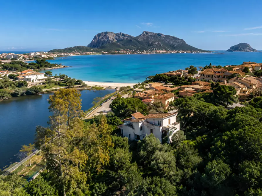 Immagine 1 di Villa in vendita  in via del cisto 3 a Golfo Aranci
