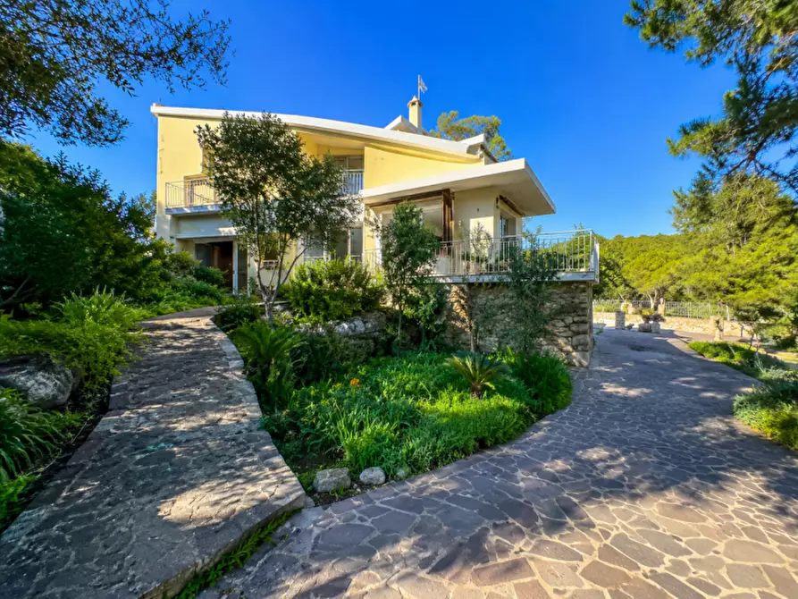 Immagine 2 di Villa in vendita  in via del cisto 3 a Golfo Aranci