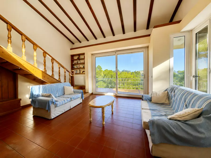 Immagine 5 di Villa in vendita  in via del cisto 3 a Golfo Aranci