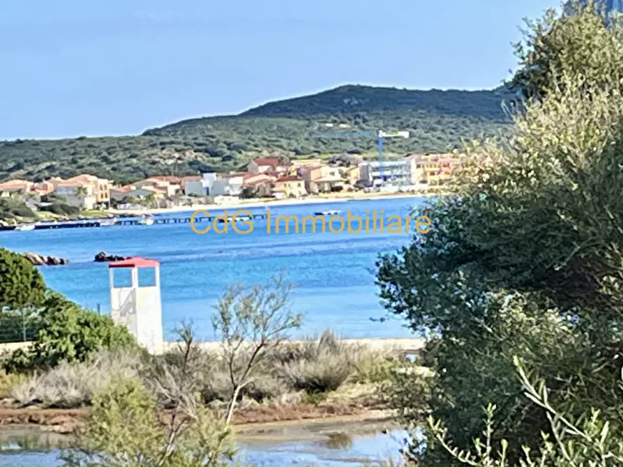 Immagine 20 di Villa in vendita  in via del cisto 3 a Golfo Aranci