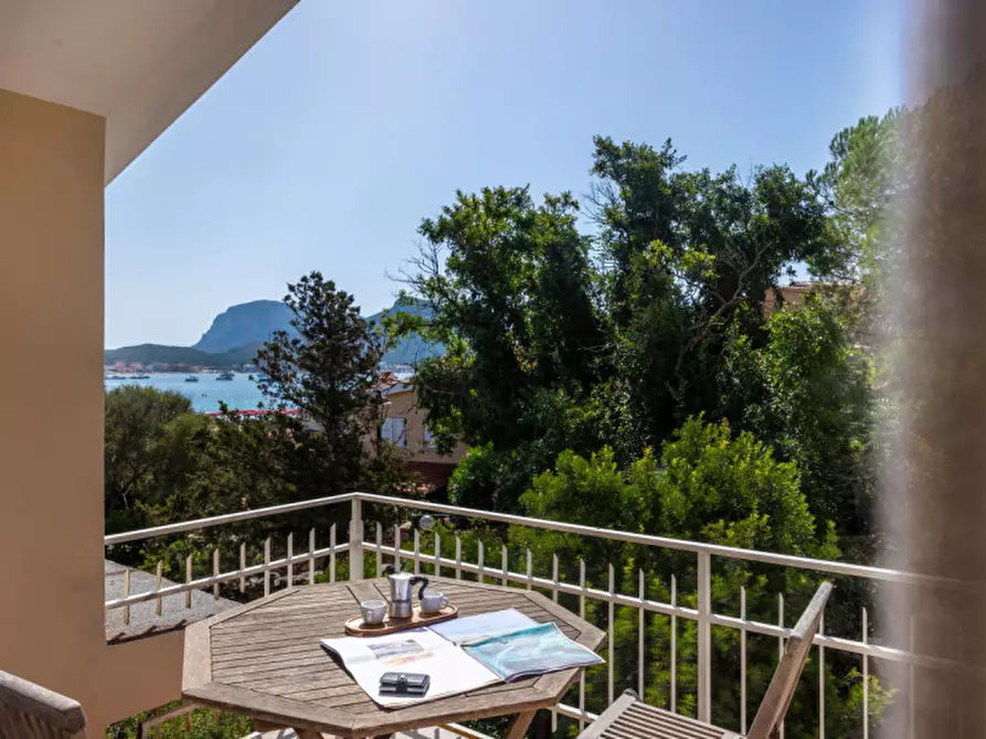 Immagine 28 di Villa in vendita  in via del cisto 3 a Golfo Aranci