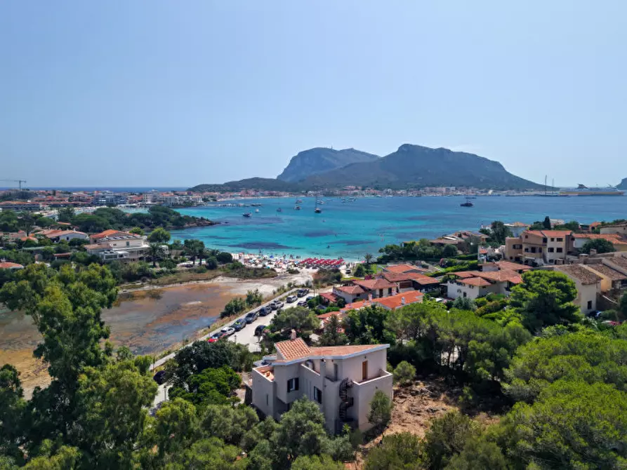 Immagine 29 di Villa in vendita  in via del cisto 3 a Golfo Aranci