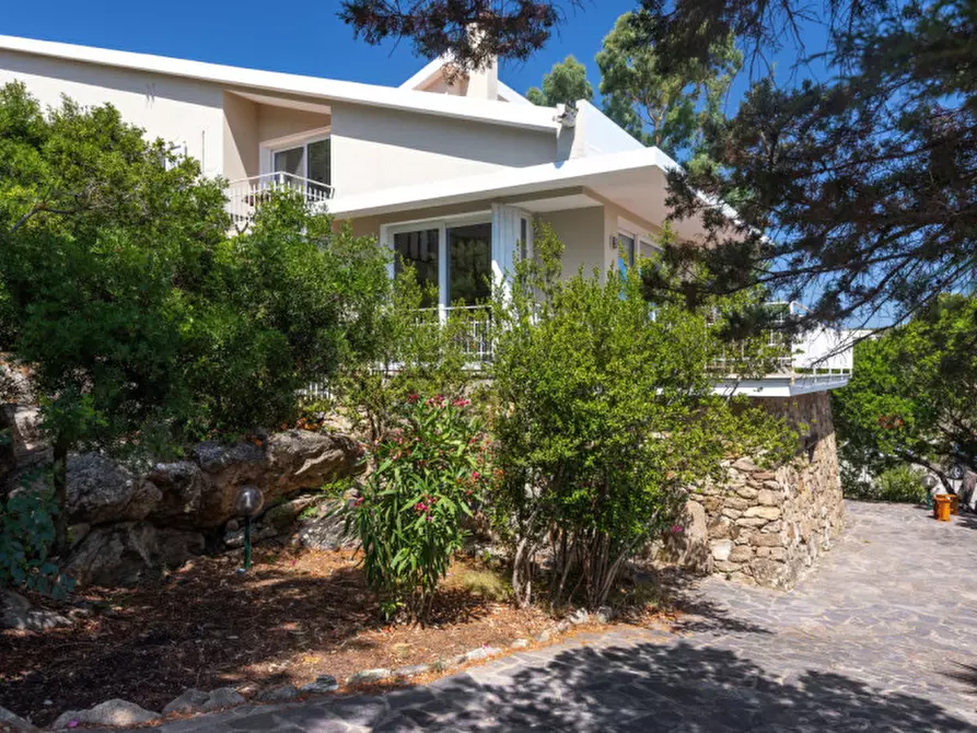 Immagine 32 di Villa in vendita  in via del cisto 3 a Golfo Aranci