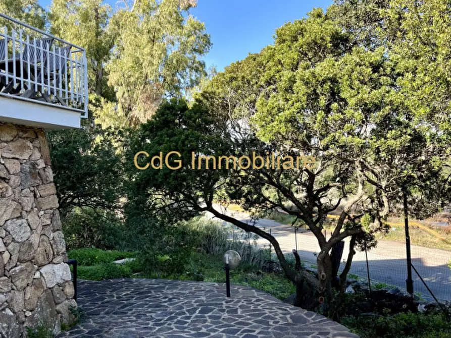 Immagine 32 di Villa in vendita  in via del cisto 3 a Golfo Aranci