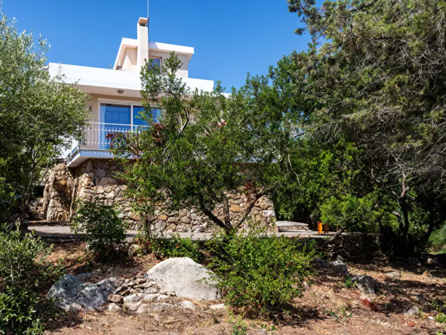 Immagine 33 di Villa in vendita  in via del cisto 3 a Golfo Aranci