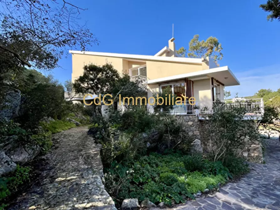 Immagine 35 di Villa in vendita  in via del cisto 3 a Golfo Aranci