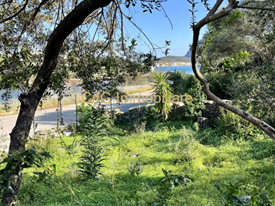 Immagine 39 di Villa in vendita  in via del cisto 3 a Golfo Aranci